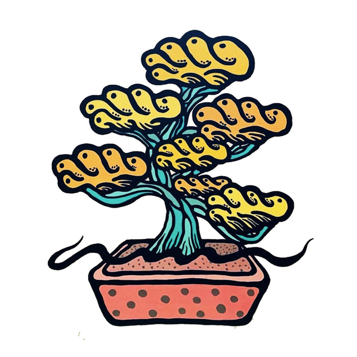 SHU BONSAI