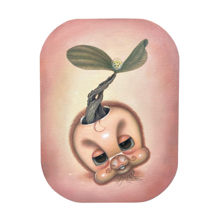 I am a NEW SEED